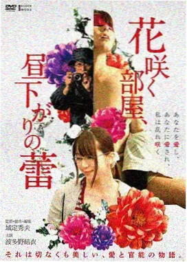 短剧集片单整理配图